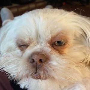 Meet your Posher, Leanne